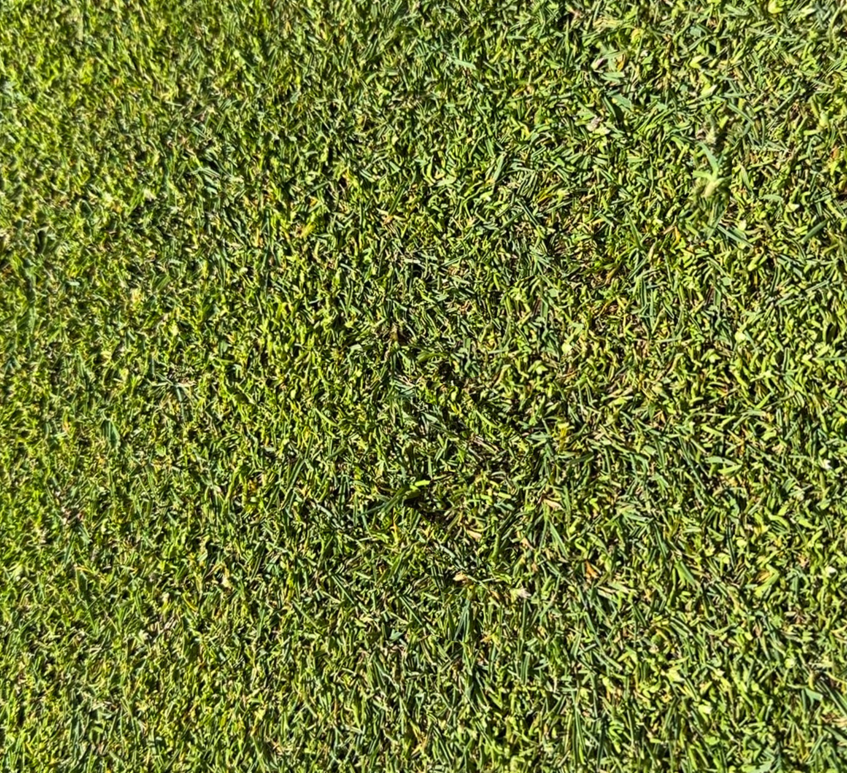 Golf green and cup placeholder