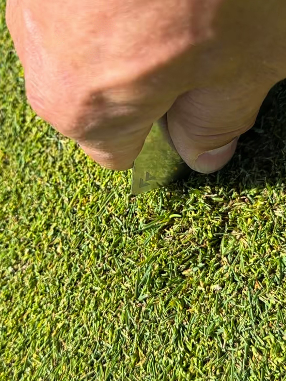 Ball mark repair process placeholder