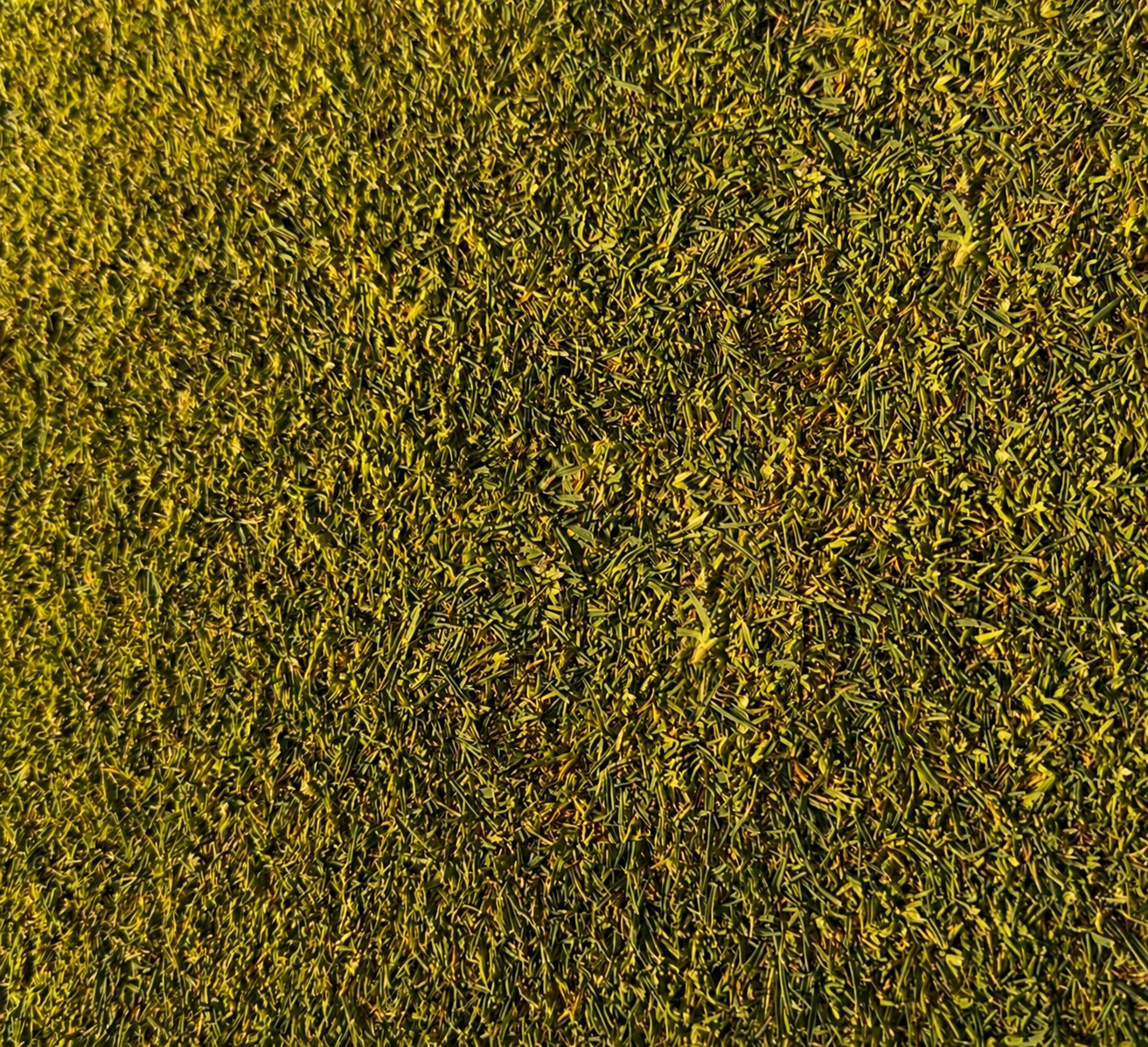 Finished ball mark repair placeholder
